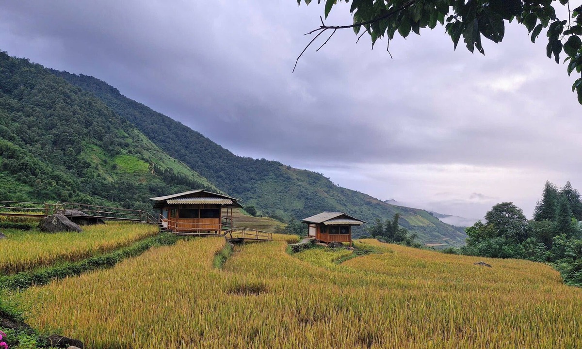 Phong Tho Hotel | To Ech Homestay