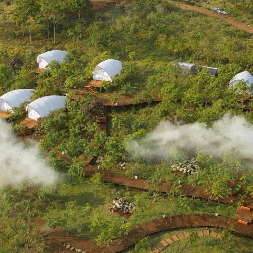 Da Lat Other | Trạm Mây Glamping