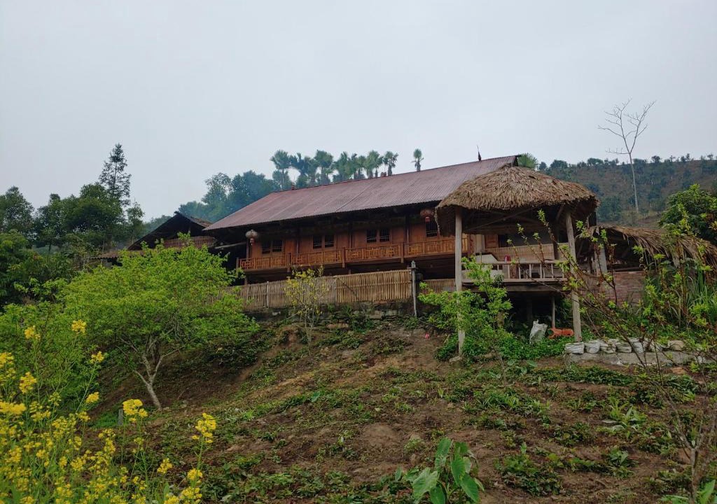Bac Ha House | Trà Hills Homestay