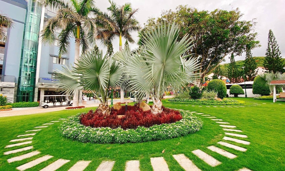 Long Hai Hotel | Tran Chau Beach & Resort