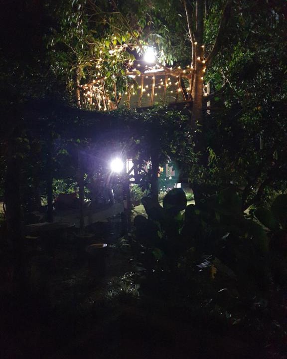 Karangan Other | Tree Top Glamping Dusun Anum