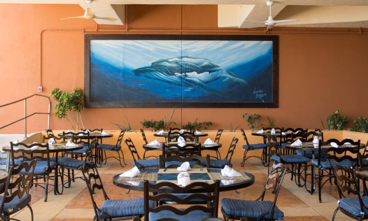 San Jose del Cabo Hotel | Vibrant Studio Stay Near the Best of Cabo
