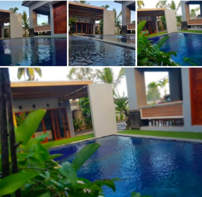 Negara House | Villa Mp Jembrana