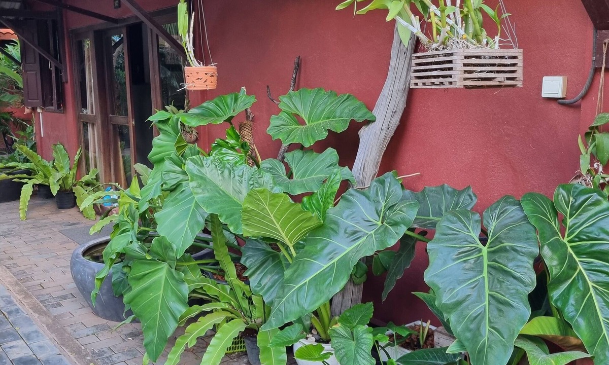 Siem Reap Bed & Breakfast | Villa Sa Ke - Khmer House