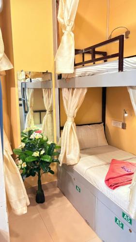Bandra East Hostel | Welcome Inn Dormitory & PG Male And Female