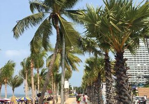 Apartments At View Talay in Pattaya