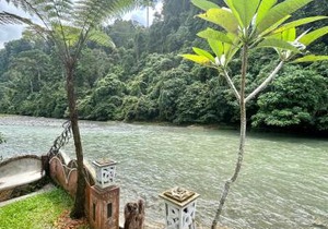 Aussie Inn Bukit Lawang