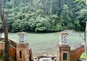 Aussie Inn Bukit Lawang