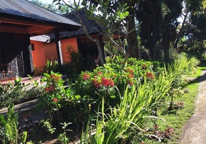 Batur Sunrise Guesthouse ~ Bungalow with sea view
