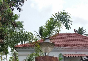 Casa de Fernandes - Home Away from Home