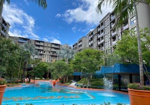La HABANA Condo 135/500