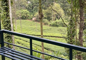 LetStay Vythiri Hill Palace