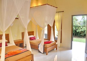 Nick's Homestay