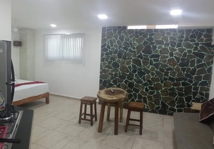 PALMAS DE CHAHUE E (376 SF)