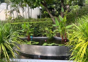 Sanctuary Wangomat 2 BR 2 BA