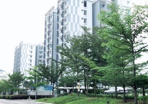 Senai Garden Suite