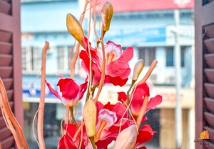 Streetview Hotel Muar