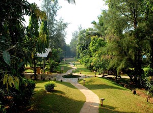Dudhsagar Resort | Mollem