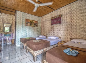 Lovina Central Hostel | Lovina