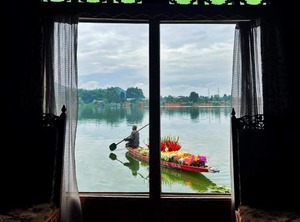 Lily Of Nageen | Nagin Bagh