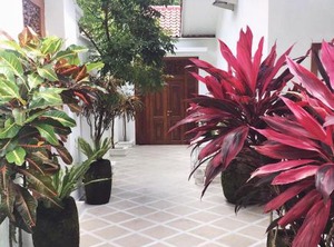 Yogyakarta Tropicana Villa | Bangunjiwo