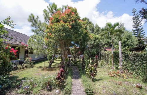Tomohon Bed & Breakfast | 12 m² Bed and breakfast ∙ 2 guests