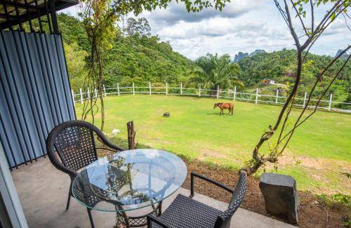 Phangnga Bed & Breakfast | 12 m² Bed and breakfast ∙ 2 guests