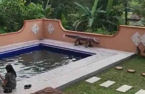 Gunung Bunder I Hotel | 12 m² Hotel ∙ 2 guests