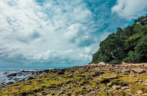 Rayong Resort | 120 m² Resort ∙ 127 guests