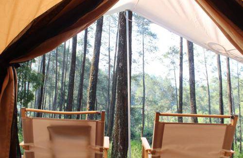 Cikole Other | 16 m² Tent ∙ 4 guests