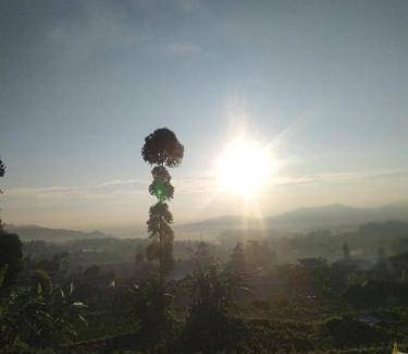 Rancabali Bed & Breakfast | 20 m² Bed and breakfast ∙ 4 guests