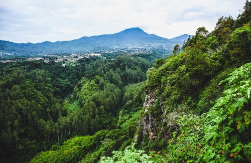 Lembang Bed & Breakfast | 20 m² Bed and breakfast ∙ 20 guests