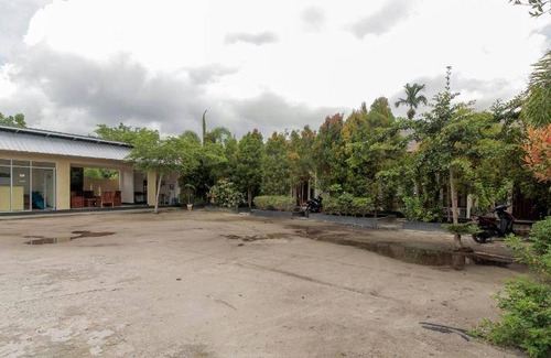 Palangkaraya Bed & Breakfast | 20 m² Bed and breakfast ∙ 3 guests