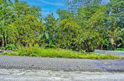 Banyuwangi Hotel | 21 m² Hotel ∙ 3 guests