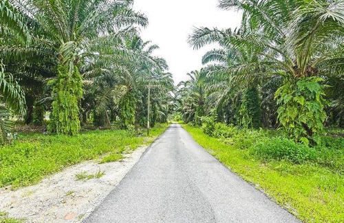 Johor House | 21 m² House ∙ 10 guests