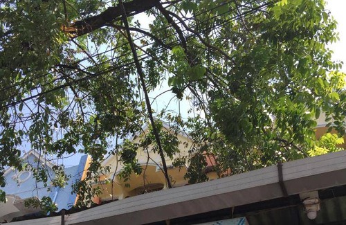 Makassar Bed & Breakfast | 22 m² Bed and breakfast ∙ 127 guests