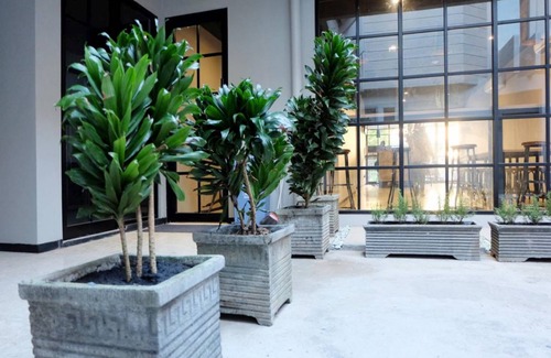 Surabaya Bed & Breakfast | 25 m² Bed and breakfast ∙ 10 guests