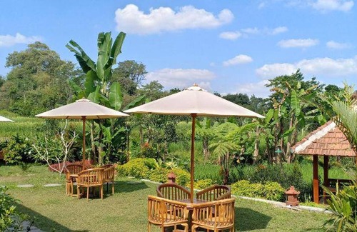 Wonosobo Bed & Breakfast | 25 m² Bed and breakfast ∙ 4 guests