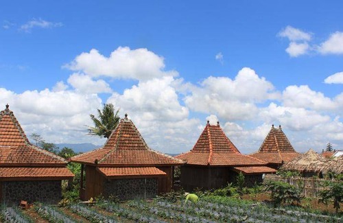 Wonosobo Bed & Breakfast | 25 m² Bed and breakfast ∙ 4 guests