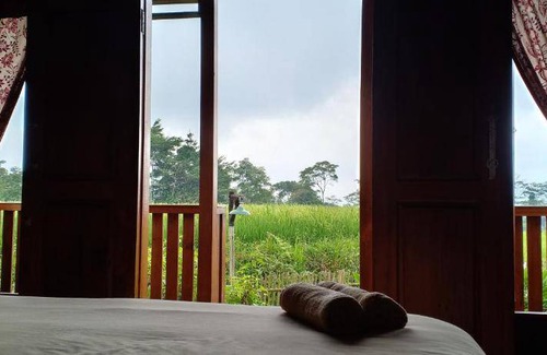 Wonosobo Bed & Breakfast | 25 m² Bed and breakfast ∙ 4 guests