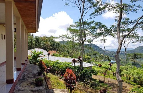 Manggarai Bed & Breakfast | 25 m² Bed and breakfast ∙ 3 guests