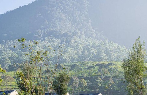 Pangalengan Resort | 27 m² Resort ∙ 2 bedrooms ∙ 8 guests