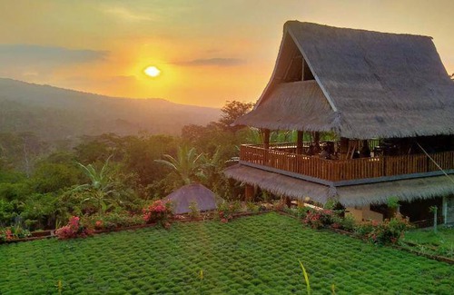 Bayan Bed & Breakfast | 28 m² Bed and breakfast ∙ 2 guests
