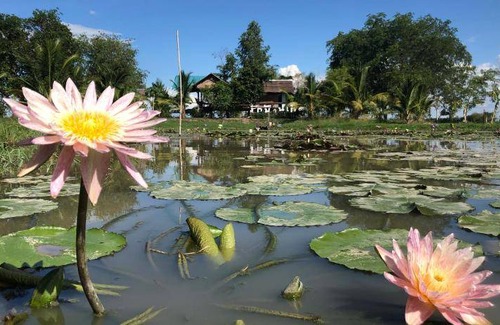 Nakhon Sawan Resort | 28 m² Resort ∙ 6 guests