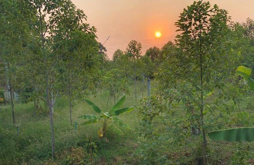 Sing Buri House | 30 m² House ∙ 1 bedroom ∙ 2 guests