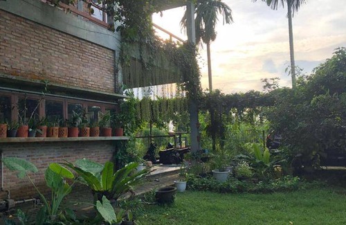 Medan Bed & Breakfast | 32 m² Bed and breakfast ∙ 5 guests