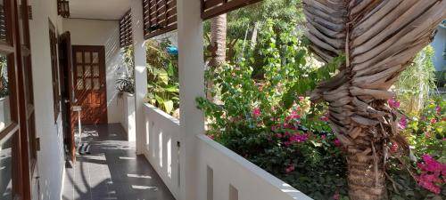 Sao Hai Bed & Breakfast | 35 m² Bed and breakfast ∙ 1 bedroom ∙ 2 guests