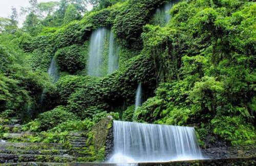 Tetebatu Bed & Breakfast | 40 m² Bed and breakfast ∙ 4 guests