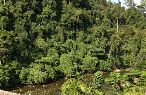 Bukit Lawang Bed & Breakfast | 40 m² Bed and breakfast ∙ 3 guests
