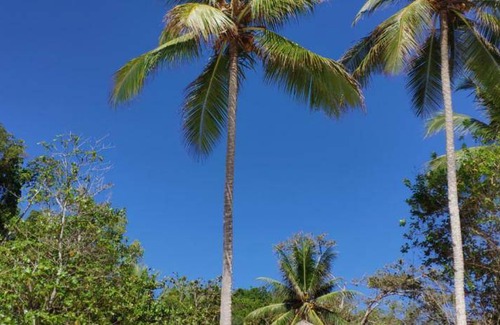 Pulau Kadidi Resort | 47 m² Resort ∙ 2 guests
